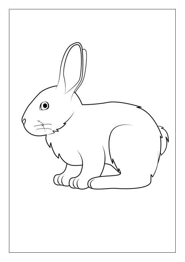 Rabbit coloring pages free printable coloring sheets for kids
