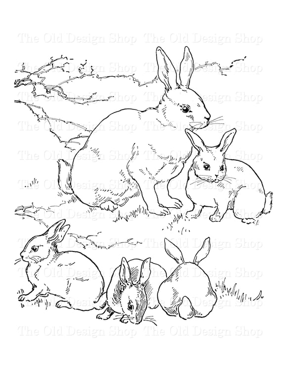 Rabbit clipart ink saver printable for junk journal cardmaking supply vintage bunny graphics mercial use digital download jpg and png