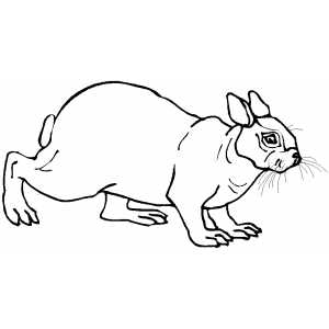 Old rabbit coloring sheet