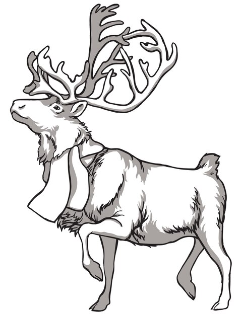 Page deer coloring page printable images