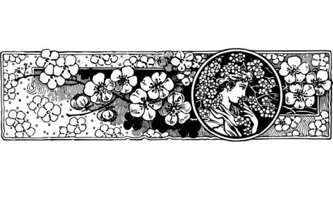 Vintage decorative divider coloring page free printable coloring pages