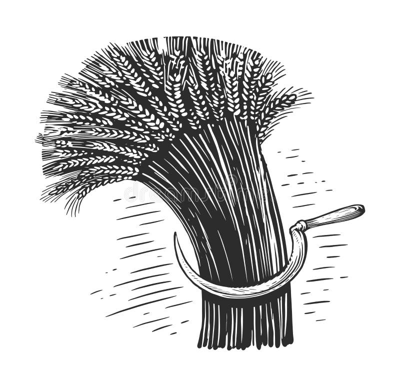 Sickle vintage stock illustrations â sickle vintage stock illustrations vectors clipart