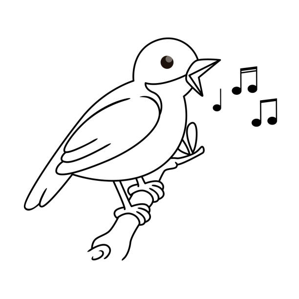 Bird coloring page stock photos pictures royalty
