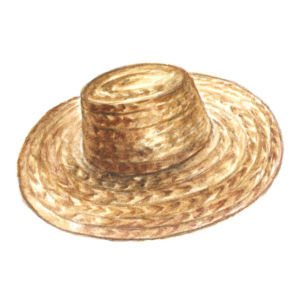 Old straw hat stock illustrations royalty