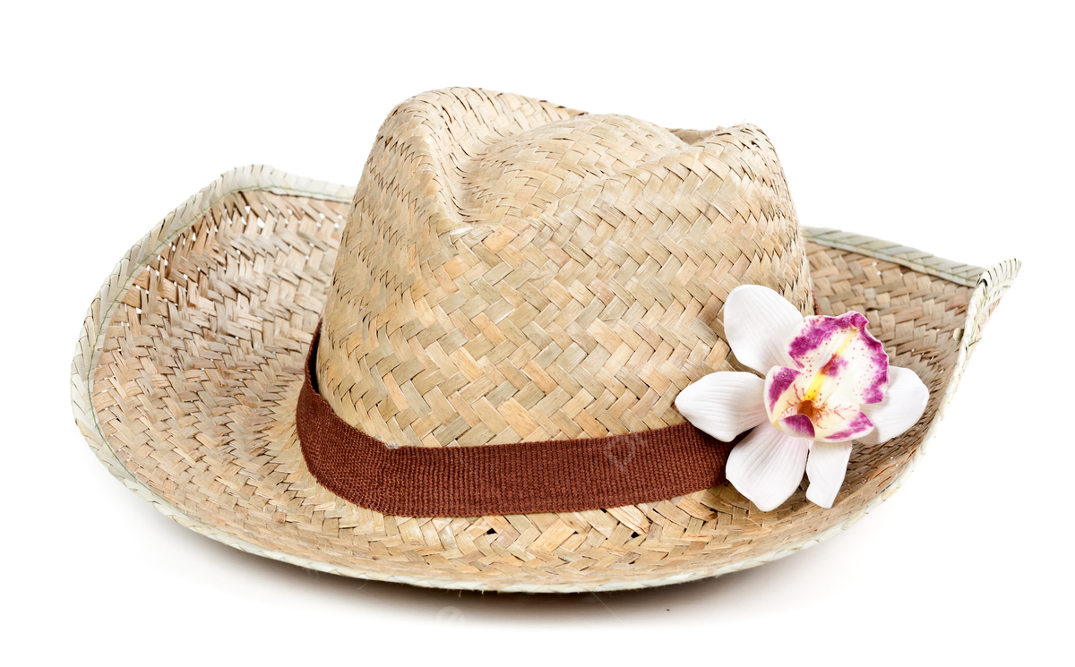 Straw hat with a flower orchid old color shade photo background and picture for free download