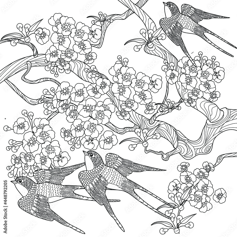 Art therapy coloring page swallow birds in vintage style with blossoming cherry branches linear engraving art romantic concept vector