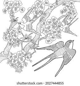 Art therapy coloring page swallow birds stock vector royalty free