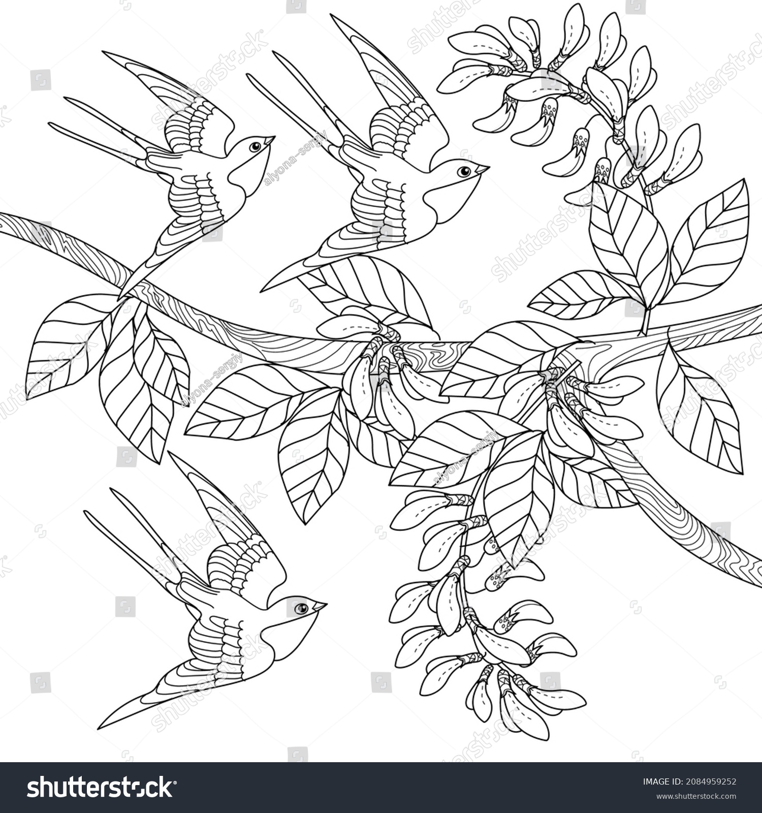 Art therapy coloring page swallow birds stock vector royalty free