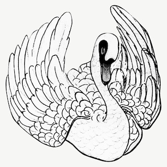 Swan coloring inspiration images