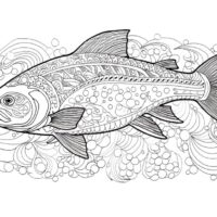 Swan coloring page to print