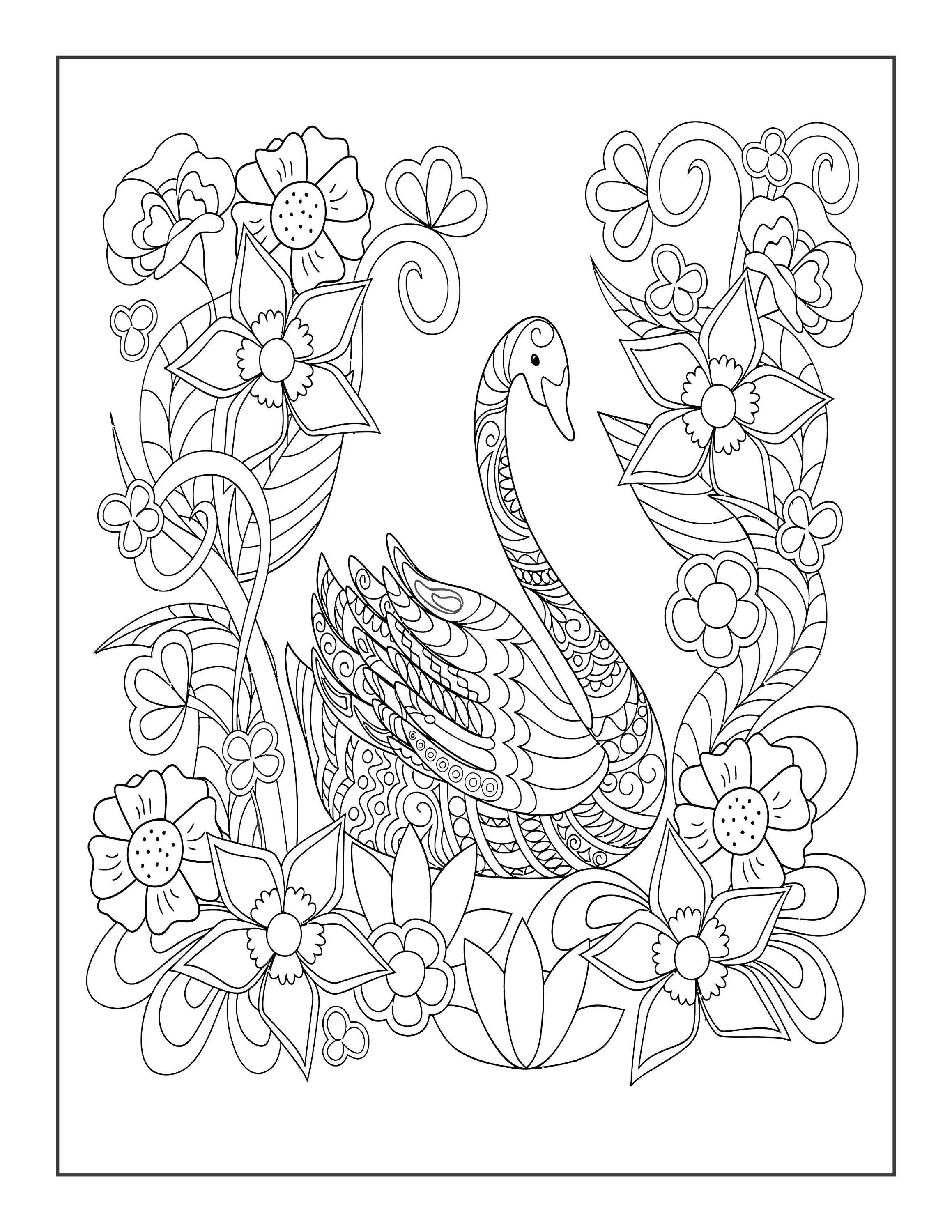 Printable swan coloring pages for children and adults instant download