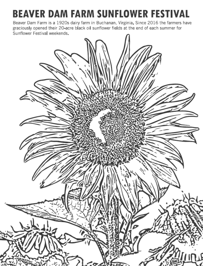 Roanoke va coloring sheets coloring book sheets for virginias blue ridge