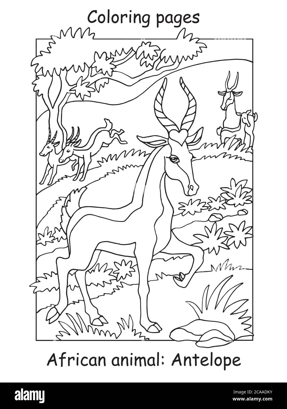 Antelope vector vectors hi