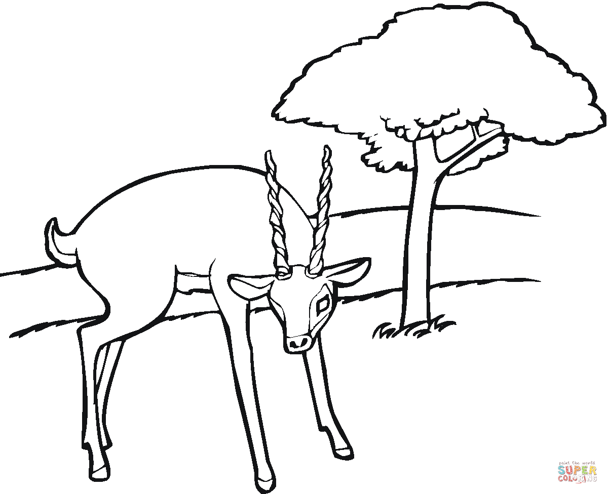 Ausmalbild antilope mit landschaft ausmalbilder kostenlos zum ausdrucken