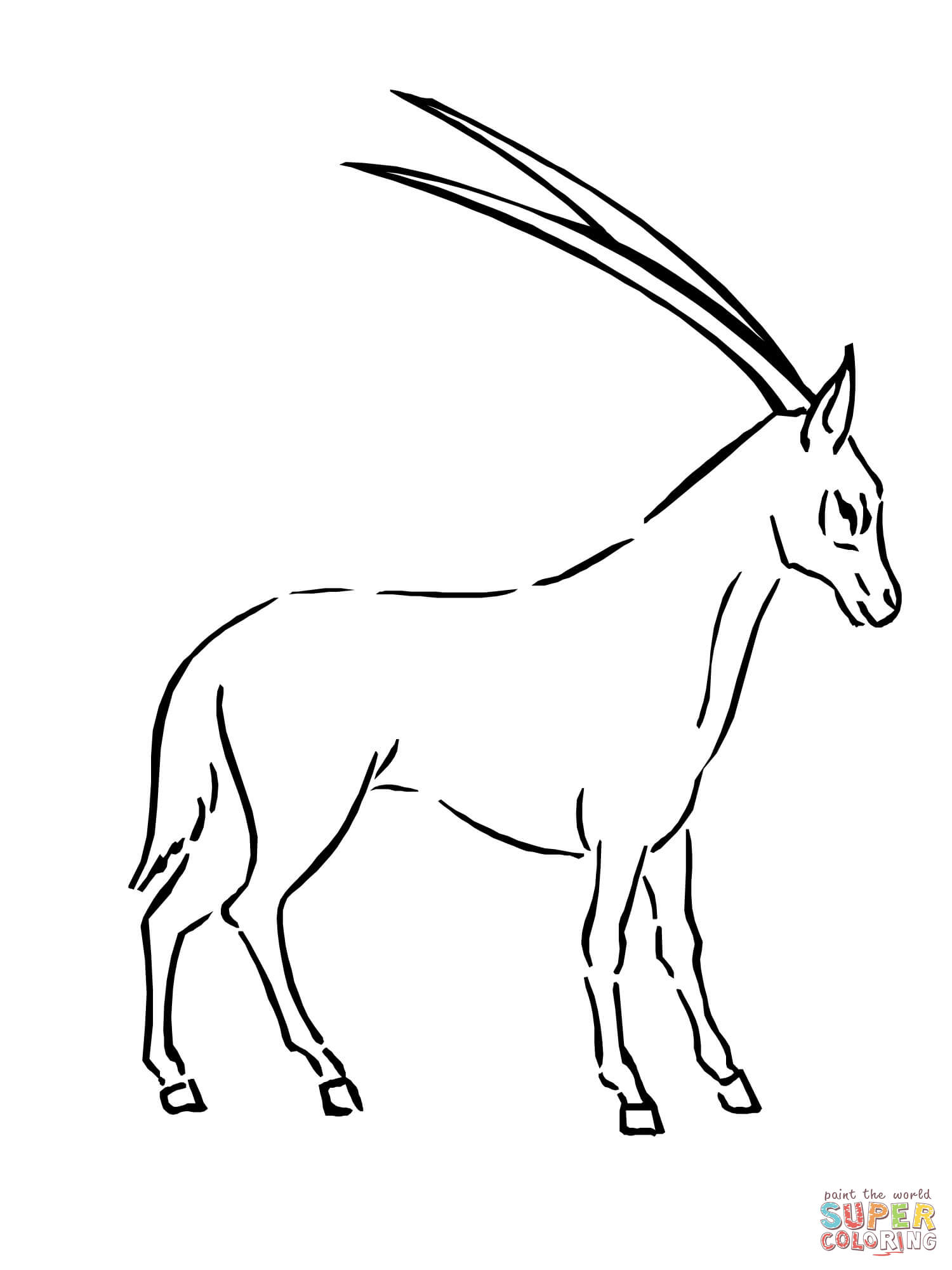 Ausmalbild oryxantilope ausmalbilder kostenlos zum ausdrucken