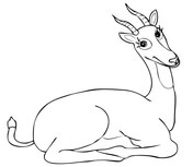 Antelopes coloring pages free coloring pages