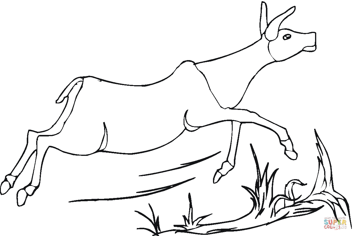 Ausmalbild laufende antilope ausmalbilder kostenlos zum ausdrucken