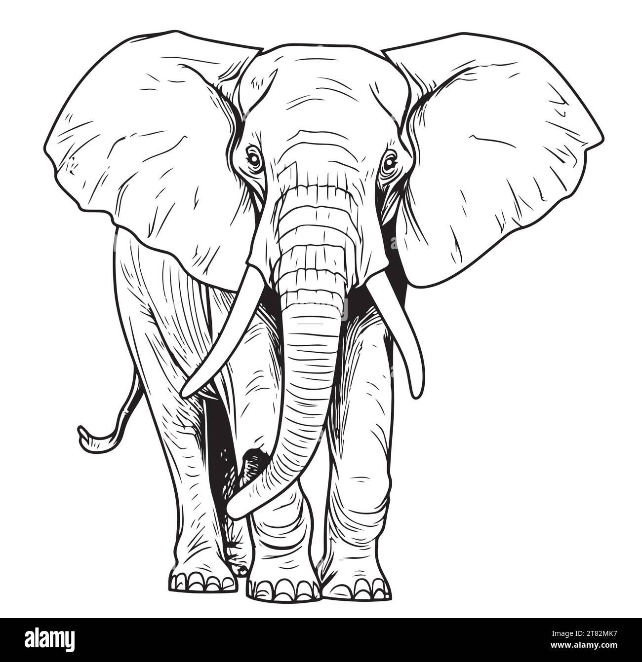 Zoologie afrika zeichnung schwarzweiã