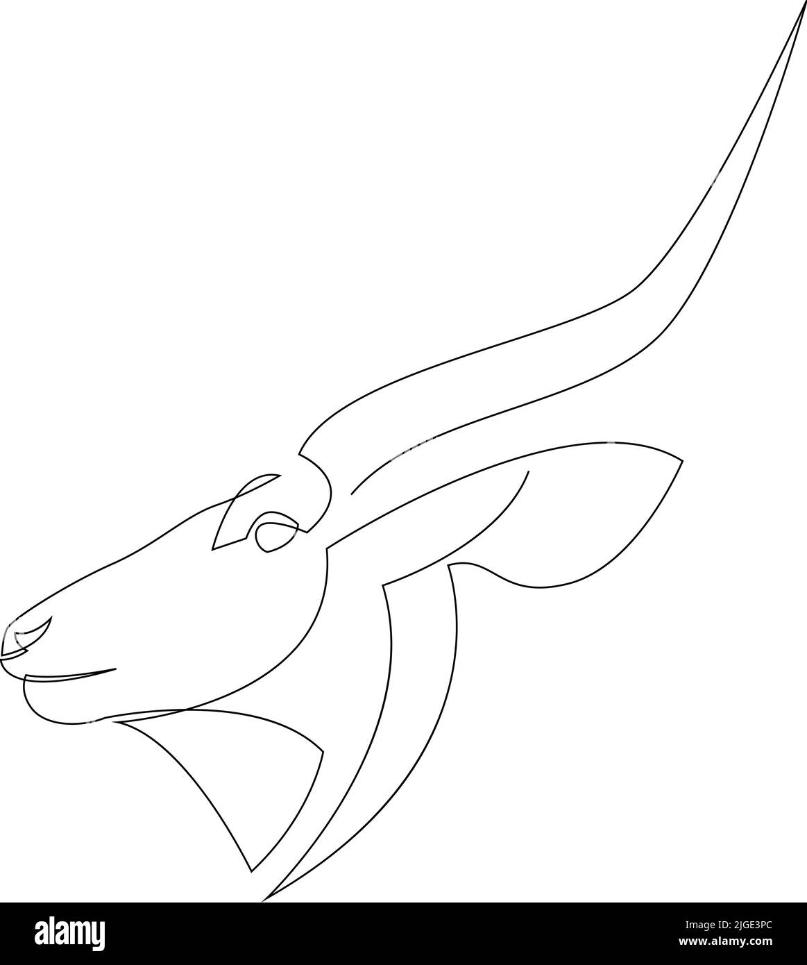 Antilope zeichnung schwarzweiã
