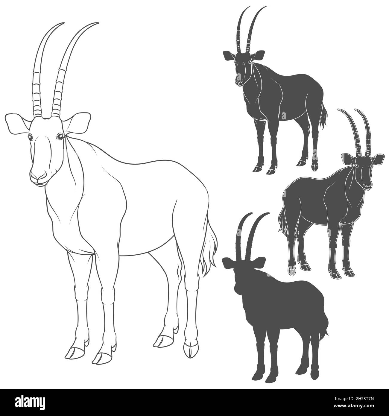 Antilope zeichnung schwarzweiã