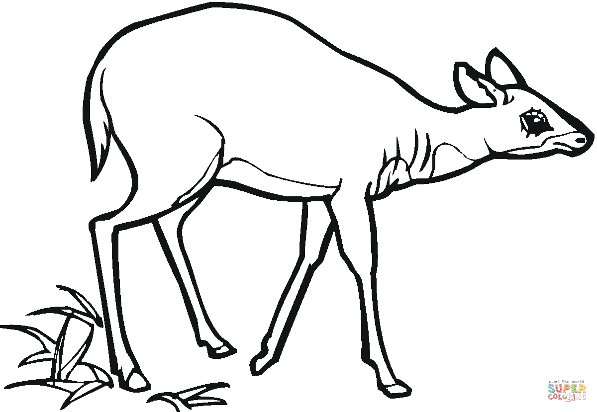 Ausmalbild duckende antilope ausmalbilder kostenlos zum ausdrucken
