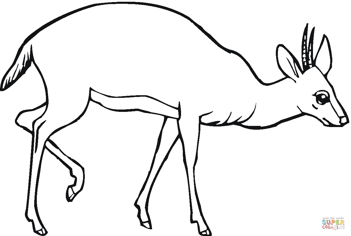 Ausmalbild antilope sucht nach futter ausmalbilder kostenlos zum ausdrucken