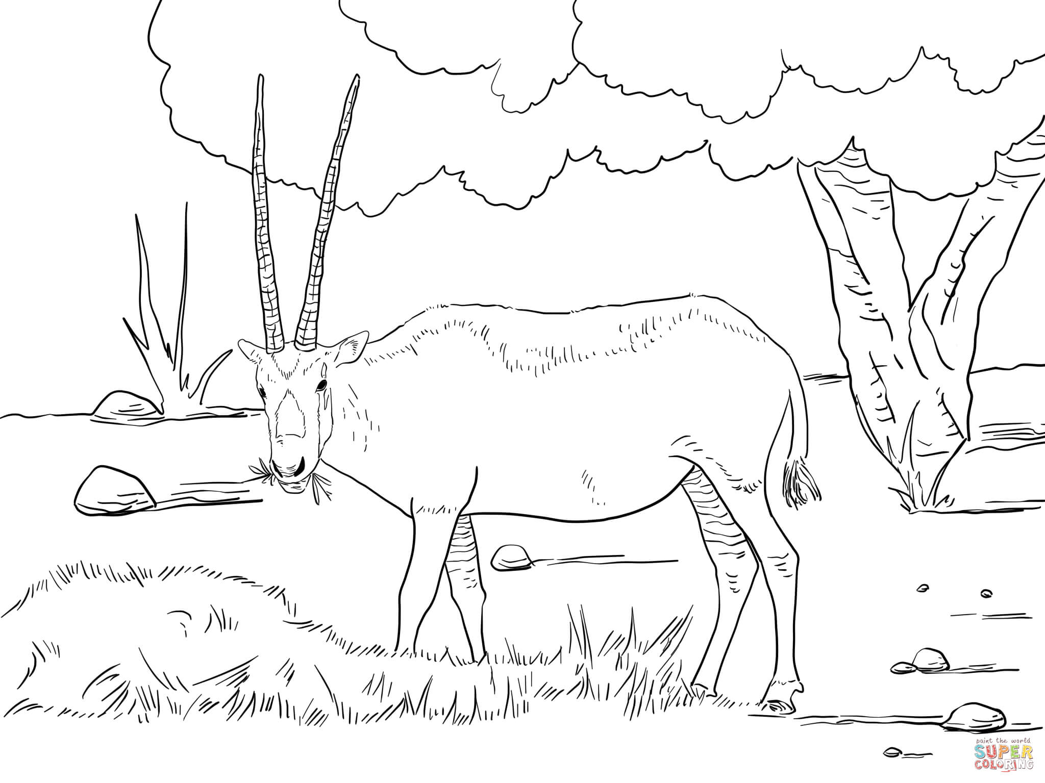 Ausmalbild realistische arabische oryx ausmalbilder kostenlos zum ausdrucken