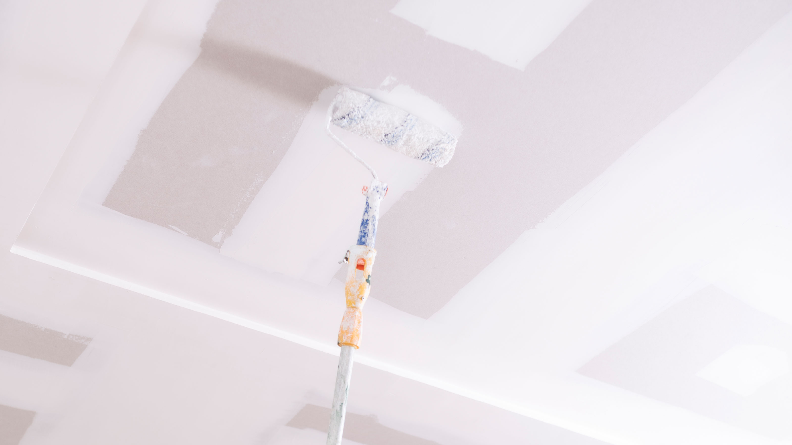Can you paint straight onto plasterboard we have the answer