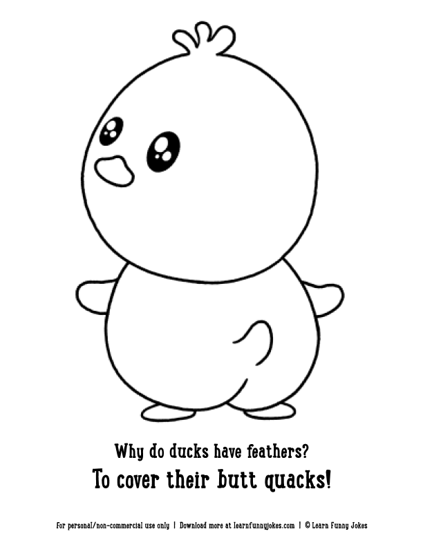Animal coloring pages for kids