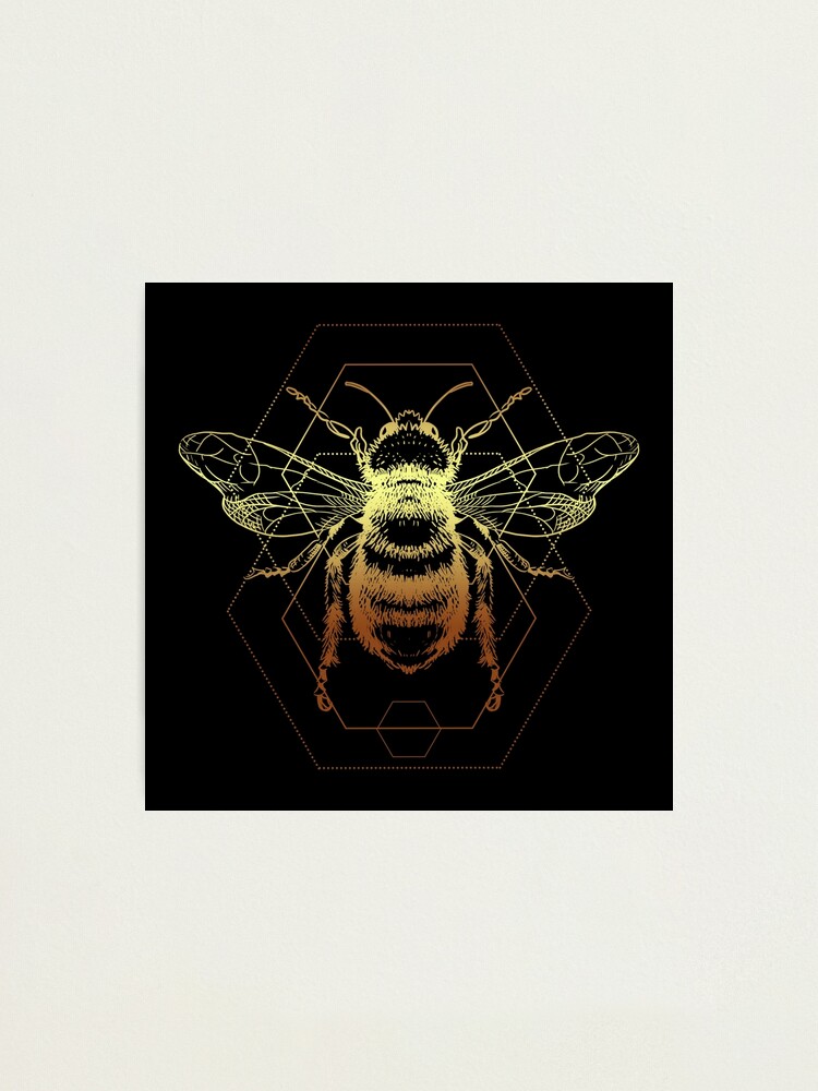 Golden bee drawing honeyb of hexagons symmetrical design floral hum of the wonderful insect photographic print by mariuki flow