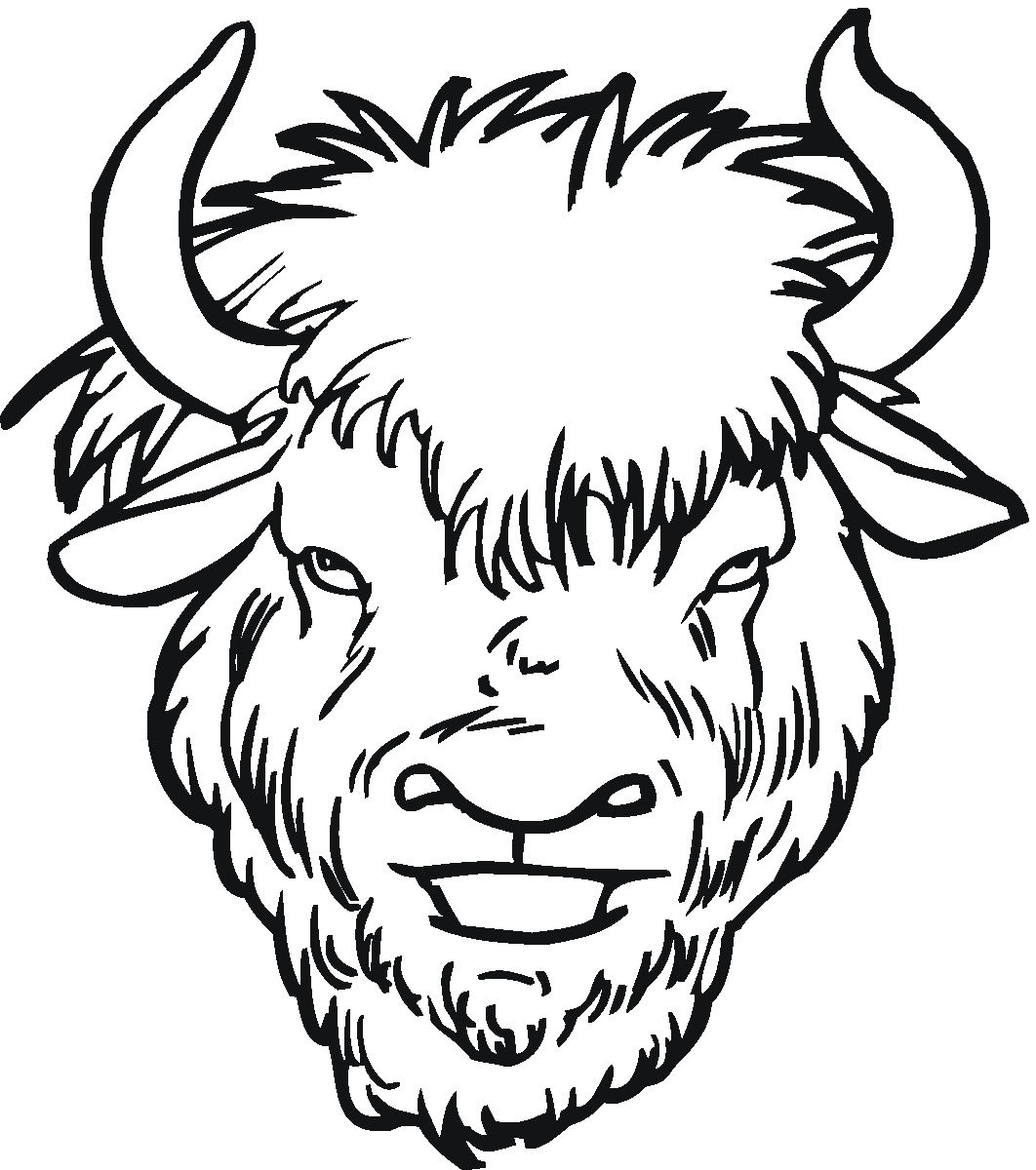 Water buffalo coloring pages animal coloring pages adult coloring pages coloring pages