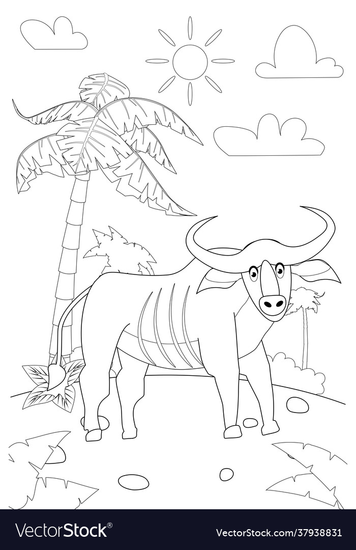 Jungle africa safari animal buffalo coloring book vector image