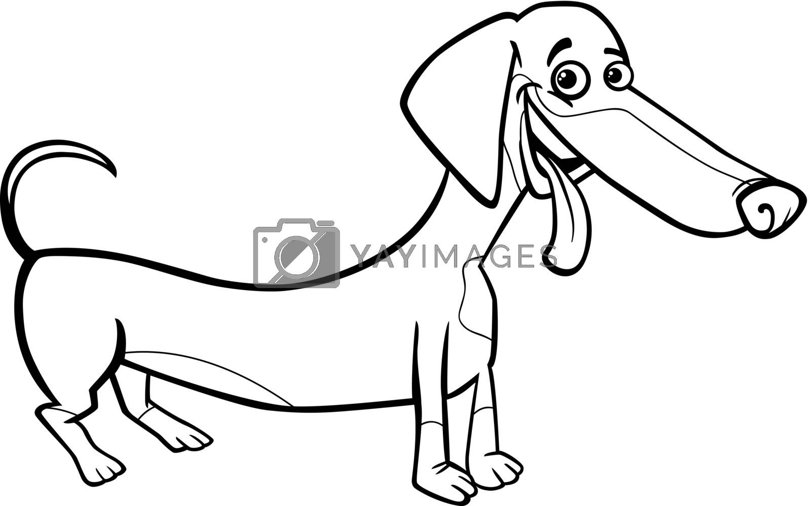 Dachshund dog cartoon for coloring book by izakowski vectors illustrations with unlimited downloads