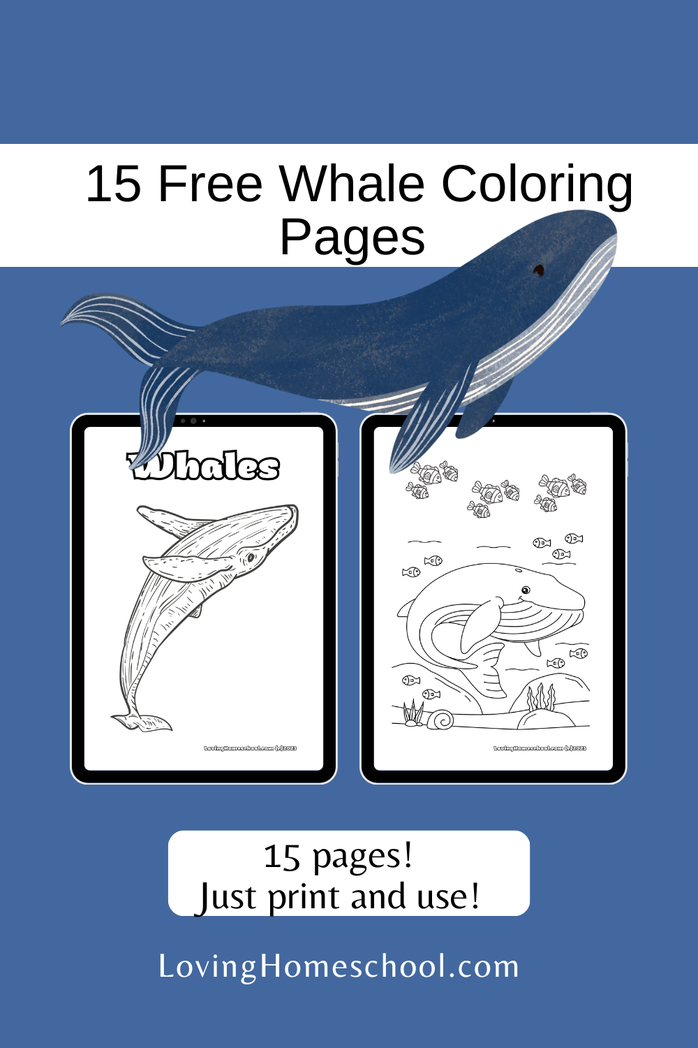 Free whale coloring pages