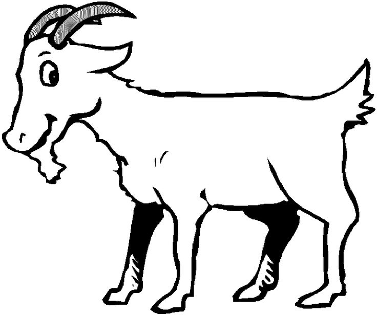 Goat coloring sheet cute animal drawings animal drawings goats