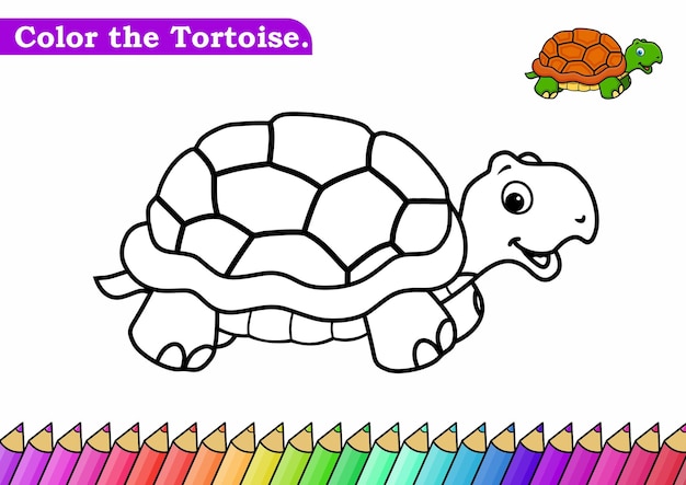 Premium vector coloring page for tortoise vector illustration kindergarten coloring pages activity worksheet