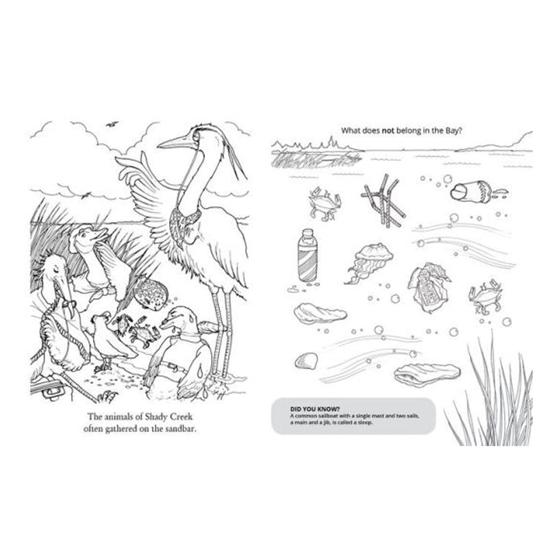 Chadwick the crab activity book â the maryland store