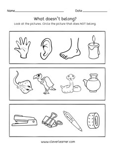 Belonging which does not belong to the group preschool activity