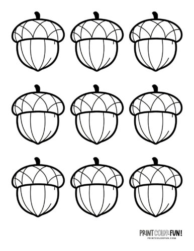 Acorn coloring pages printable clipart at