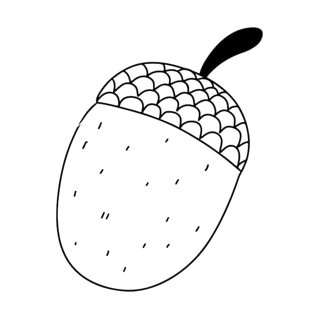 Premium vector acorn autumn element hand drawn doodle style vector illustration isolated on white coloring page
