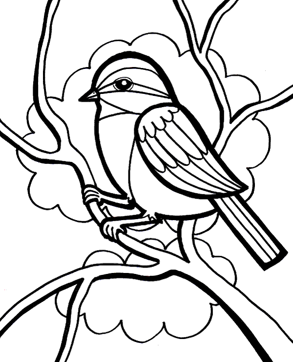 Print sparrow coloring page to print