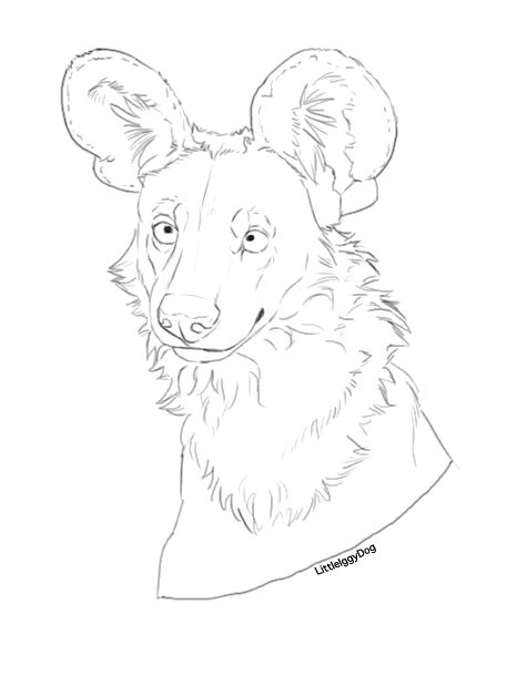 African wild dog line art by littleiggydog on
