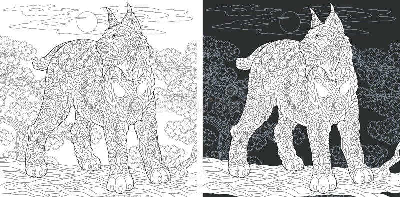 Coloring book page with wildcat stock vector