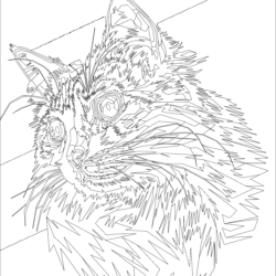 Cats coloring pages coloring pages mimi panda