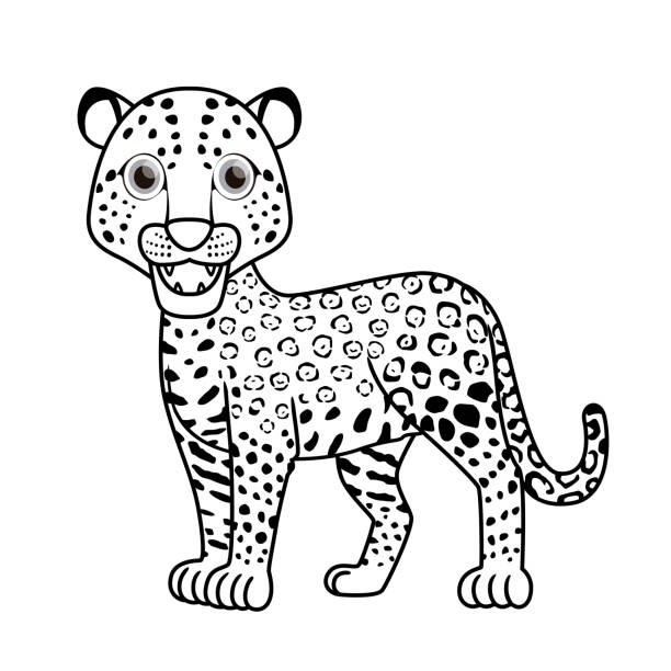 Panther cub coloring page stock illustrations royalty