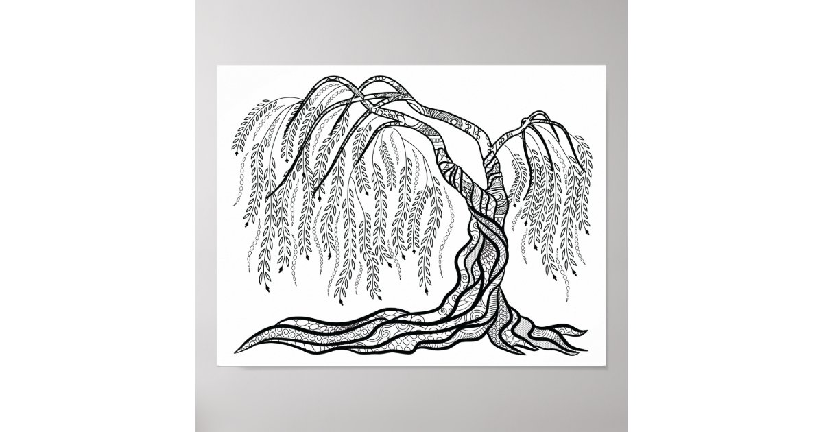 Coloring weeping willow tree poster