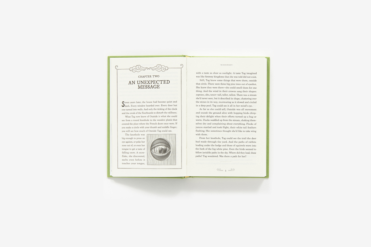 Windswept hardcover abrams