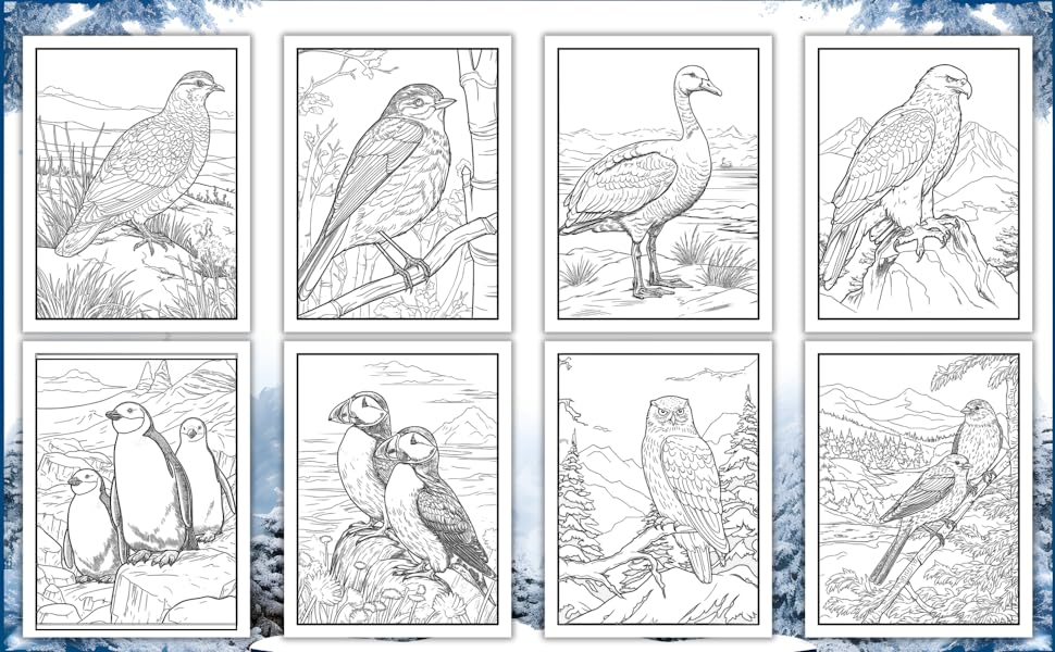 Wild winter bird coloring pages alpine aviators easy grayscale large print birds relaxation stress relief kids adults xmas coloring book monterra books winter