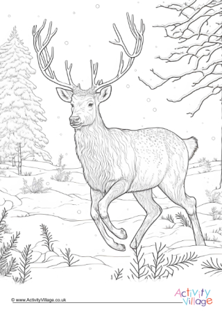 Winter louring pages for kids