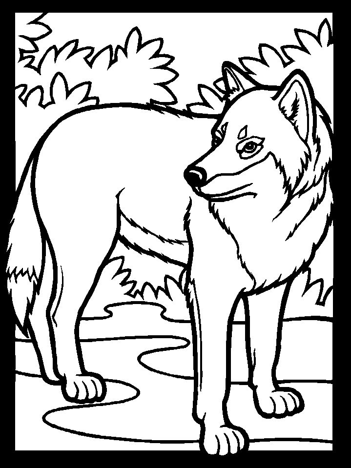 Free printable wolf coloring pages for kids animal coloring pages horse coloring pages wolf colors